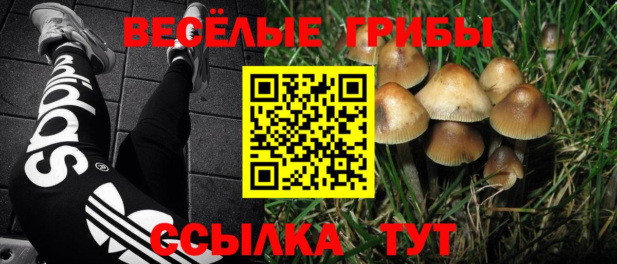 Псилоцибиновые грибы мицелий Сызрань